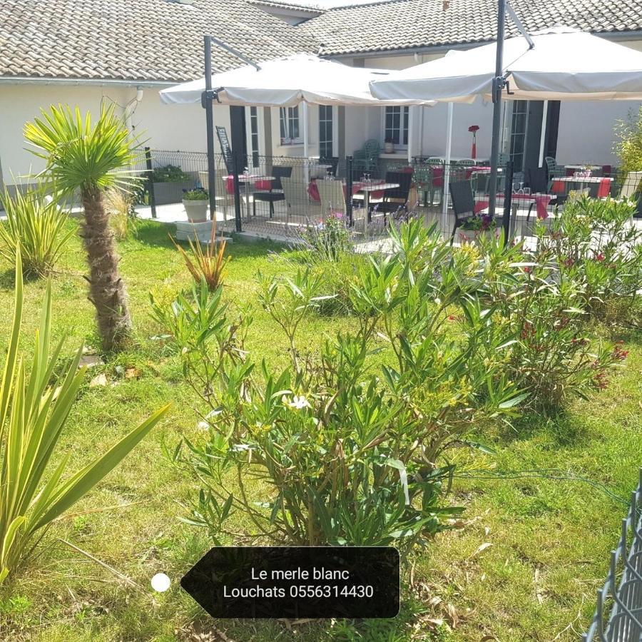 Le Merle Blanc Louchats Hotell Eksteriør bilde