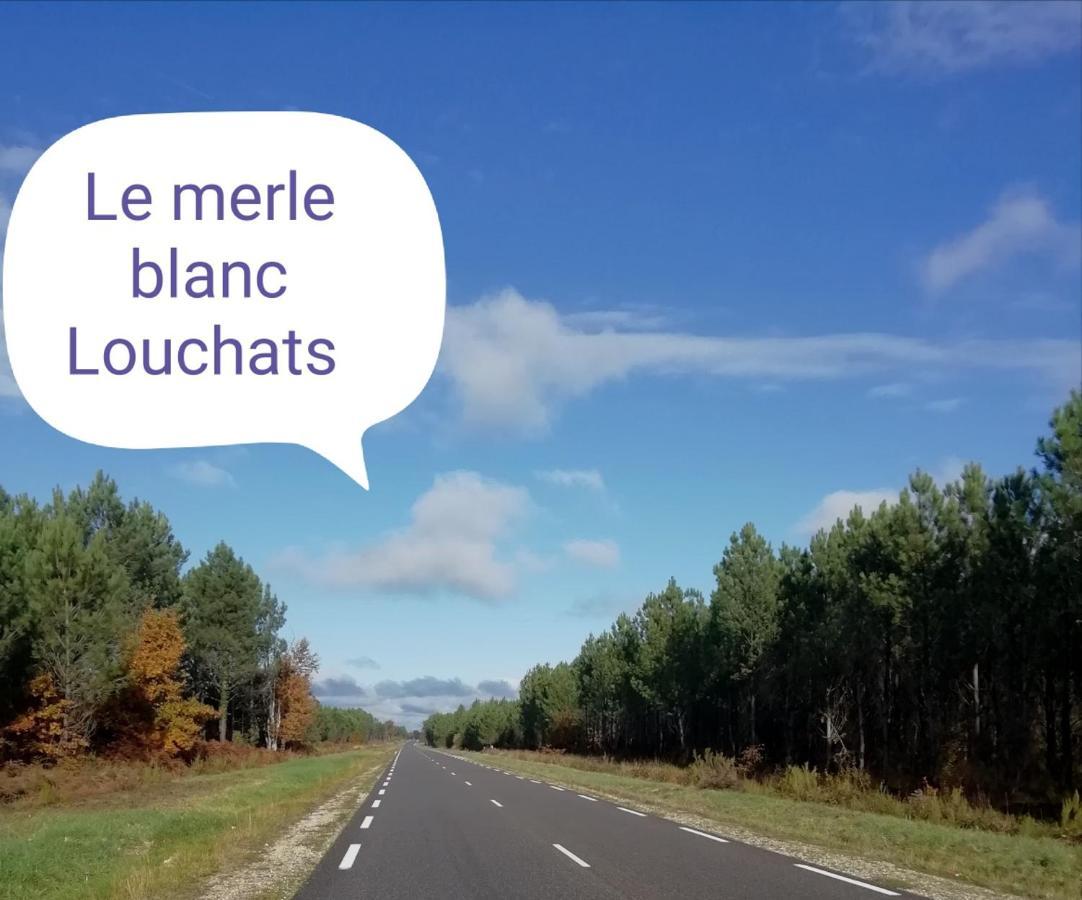 Le Merle Blanc Louchats Hotell Eksteriør bilde